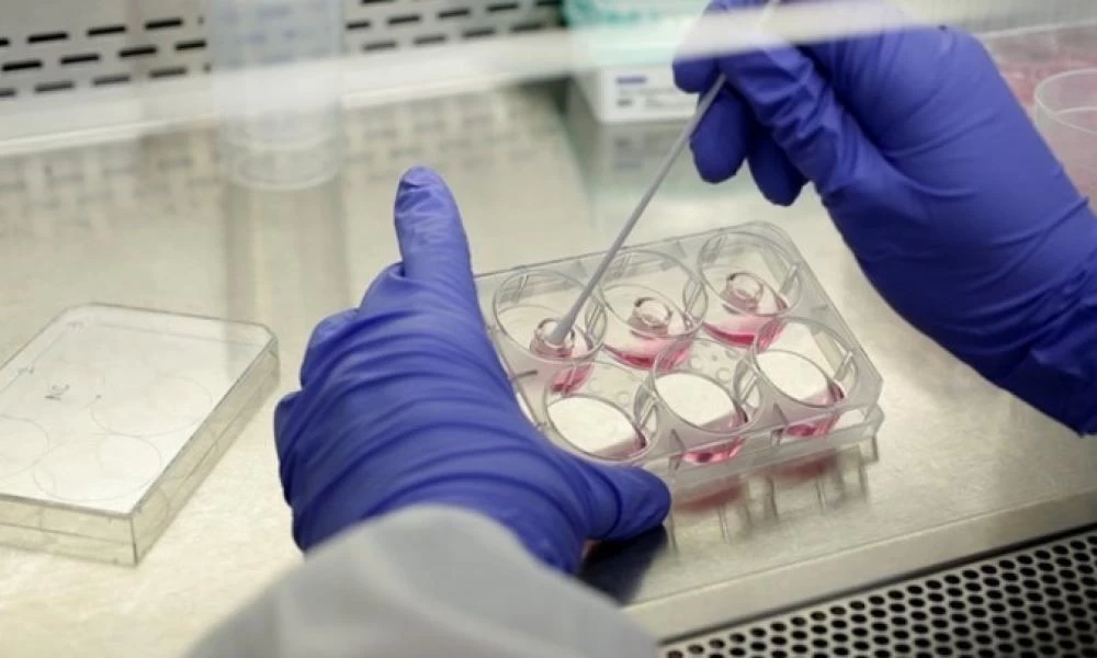 Συναγερμός για τη μετάλλαξη του κορονοϊού: Επικοινωνία Μισέλ, Μέρκελ, Μακρόν